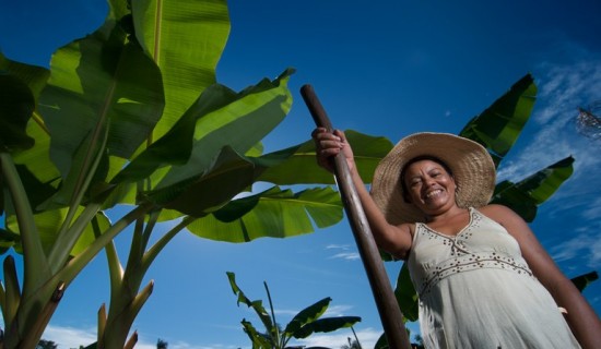 21-08-mulher-trabalhadora-rural