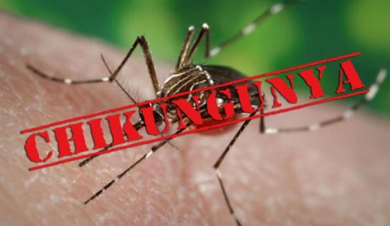 3043f9210a500e7e54b8461d2195e753