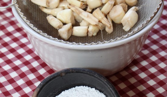 7701 – Da araruta,  fonte de amido, pode ser preparado polvilho usado em receitas de biscoitos – Foto Erasmo Pereira