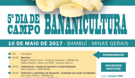 5º Dia de Campo Bananicultura – Divulgação