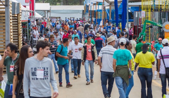 Movimento na feira (4)