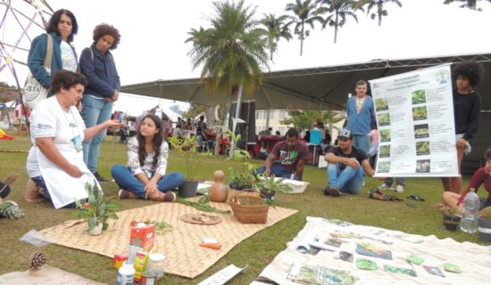 Instalação artístico pedagógica em Viçosa divulga a importância das hortaliças